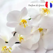 Fondant Parfumé orchidée