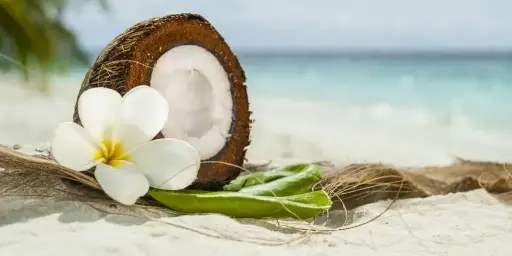 Fondant Parfumé Monoï des îles