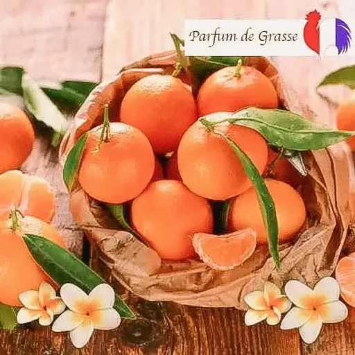 Fondant Parfumé clémentine monoï