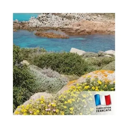 Fondant Parfumé Maquis corse