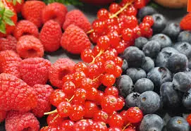 Fondant Parfumé fruits rouges