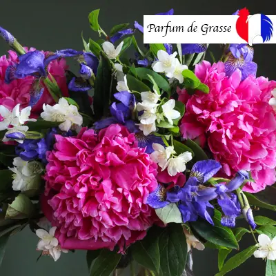 Fondant Parfumé jasmin iris